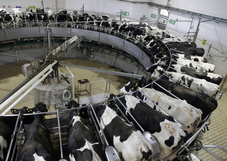 Margens apertadas e outros fatores exigem tambos cada vez mais tecnificados e eficientes para produtor seguir na atividade