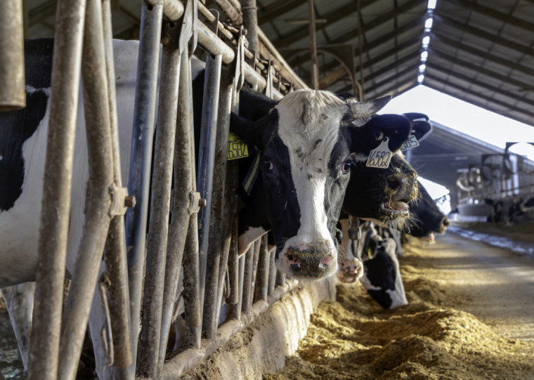 Saem dos municípios da Fronteira Noroeste e do Noroeste Colonial 2,72 bilhões de litros por ano