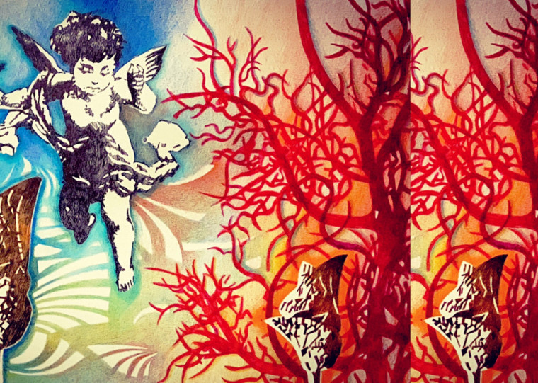 Nova mostra da Macun Livraria e Café tem visitação gratuita durante todo o mês de maio 