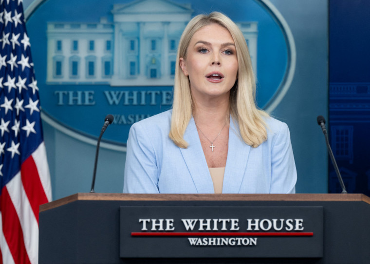 Leavitt reforçou que o objetivo é estabelecer a produção e uma cadeia de oferta doméstica de minérios críticos