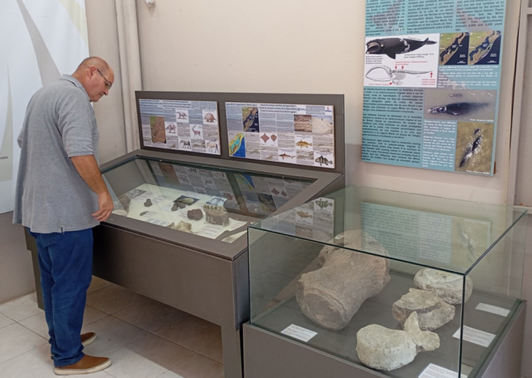 Pesquisas de fósseis buscam entender como a Lagoa Mirim e seus entornos foram afetados por mudanças no clima e ambientes ao longo de milhares de anos