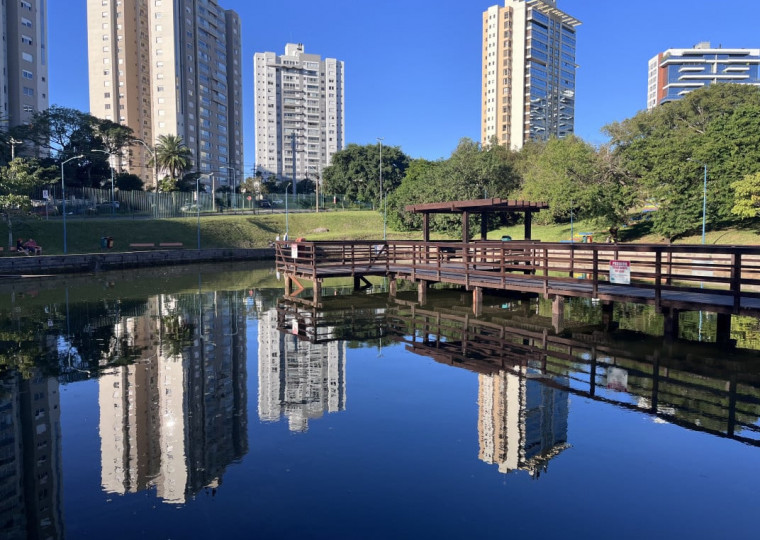 Contrariando boatos que circulam nas redes sociais, as poucas larvas encontradas não são do Aedes aegypti