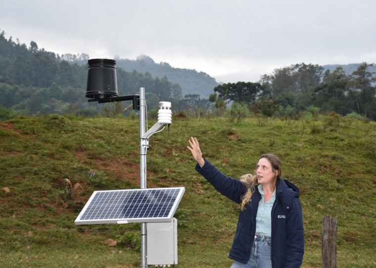 Felipe Ackermann/DIVULGAÇÃO/CIDADES