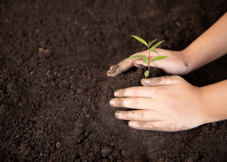 Com adesão voluntária, iniciativa pretende entregar 50 itens por mês; duração do programa é de dois anos