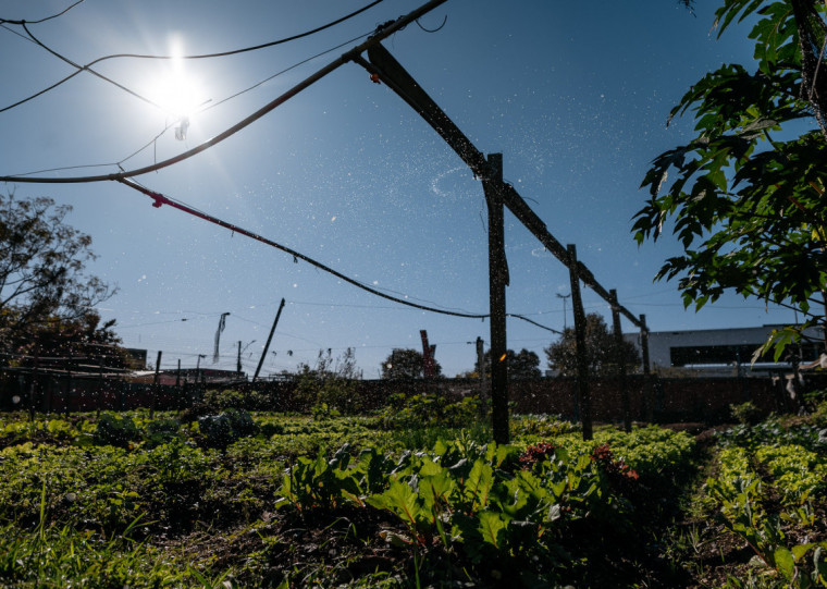 Locais são usados por pequenos horticultores para a geração de renda