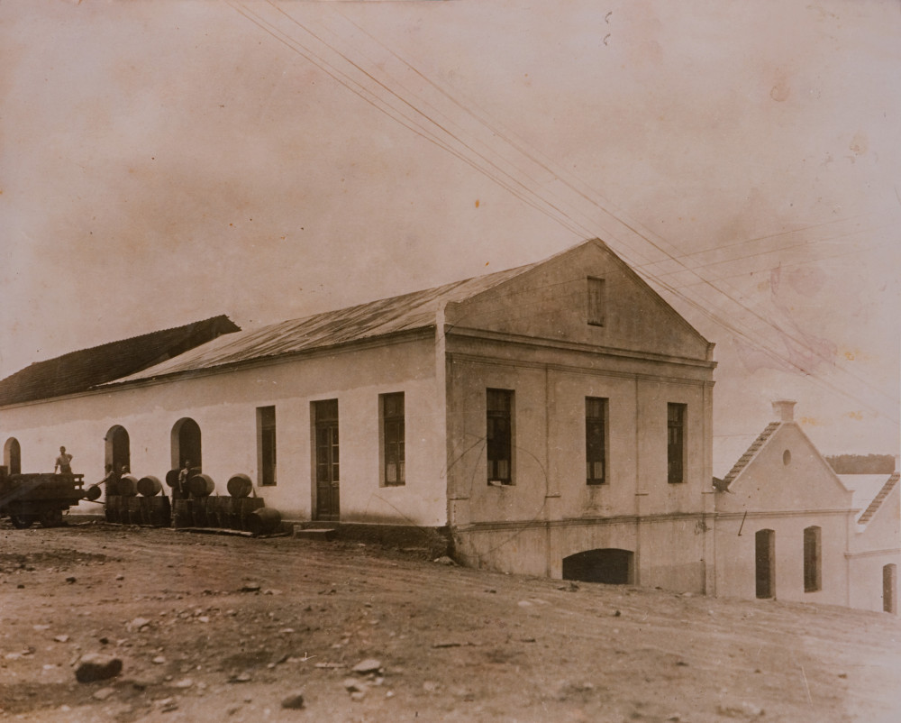 Empresas &Negócios - especial 150 anos imigração italiana - Vinícola Salton - 1922 | Salton/Arquivo/JC