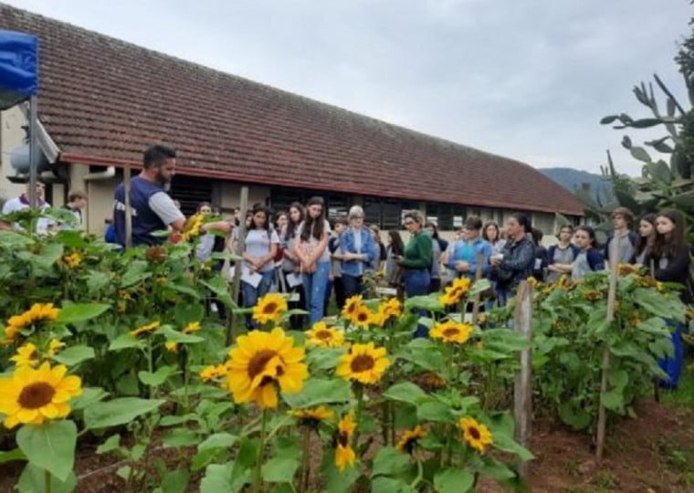 Pelo local já passaram cerca de 35 mil pessoas em cursos e visitas