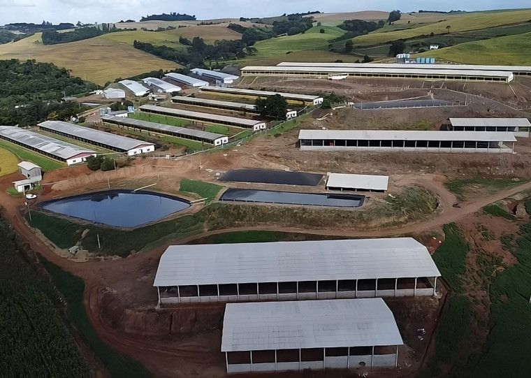 Pouco mais de uma década mais tarde, a Granja Bertella cria 10 mil suínos