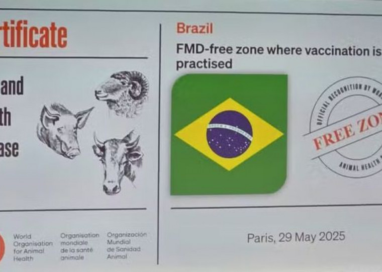 Certifica&ccedil;&atilde;o abre oportunidades para conquista de novos mercados e amplia&ccedil;&atilde;o das exporta&ccedil;&otilde;es de prote&iacute;na animal