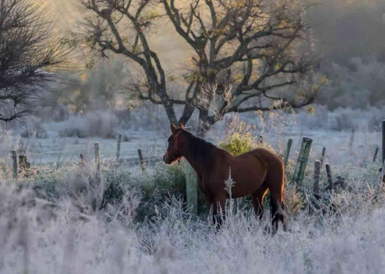 RS registrou a temperatura mais baixa do ano até o momento no Estado
