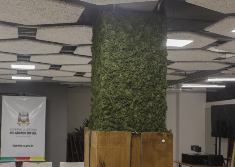 pg3 Jardim vertical na Sefaz