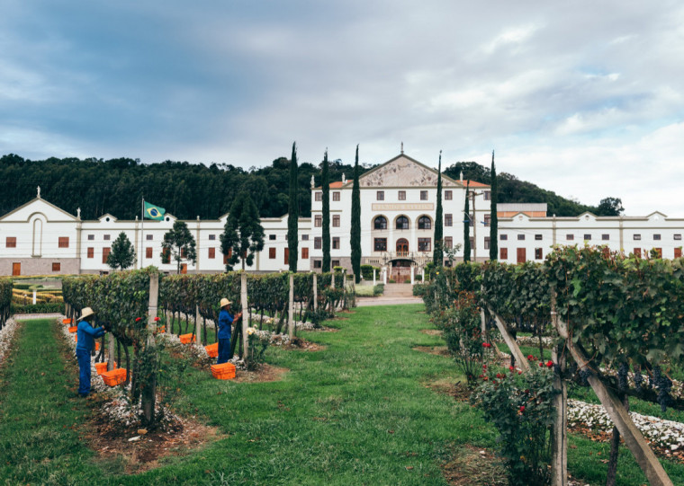 A programação contará com um painel dedicado a estudantes dos cursos de Agronomia, Enologia e Viticultura do IFRS