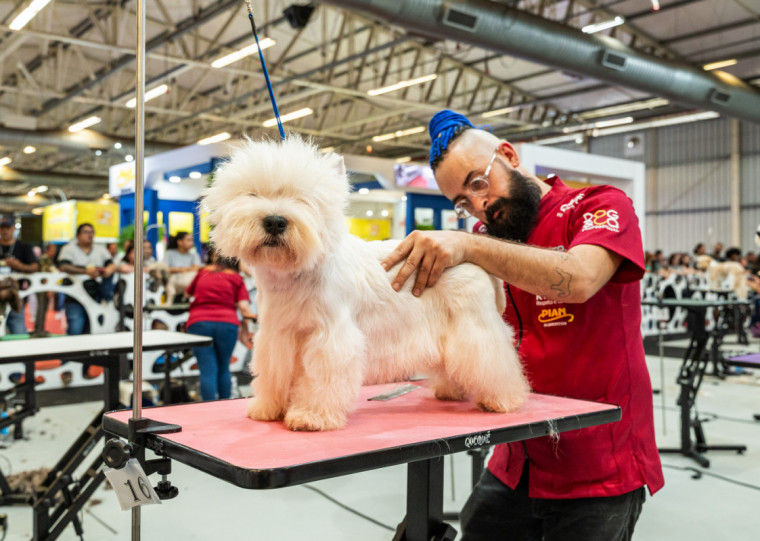 Feira é voltada aos profissionais do setor; segmento teve um faturamento superior a R$ 75 bilhões em 2024