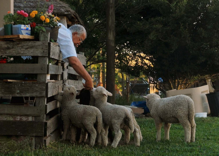 Documentário 'De Cara Antiga' explora as particularidades do cotidiano da população uruguaia