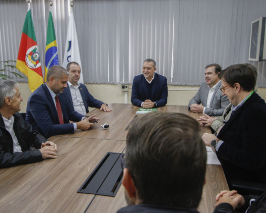 Conab pode retomar Contratos de Opção de Venda de arroz ainda em 2025