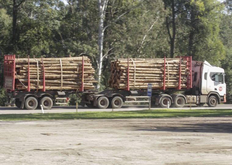 Setor madeireiro deverá seguir com algumas tarifas; Sindimadeira relata observar situação com prudência