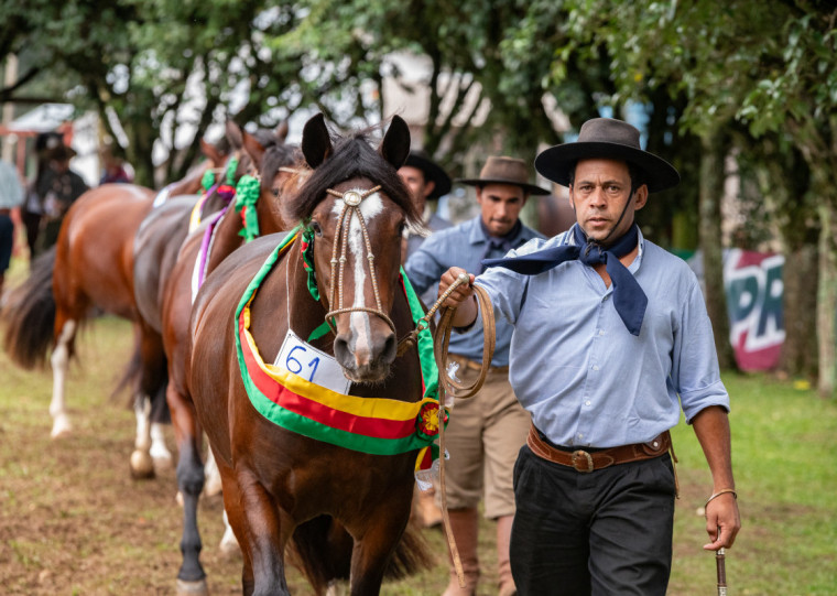Prova testa a resistência, a rusticidade e o poder de recuperação dos equinos, e contou com 68 inscritos e 65 admitidos, que irão percorrer 750 km