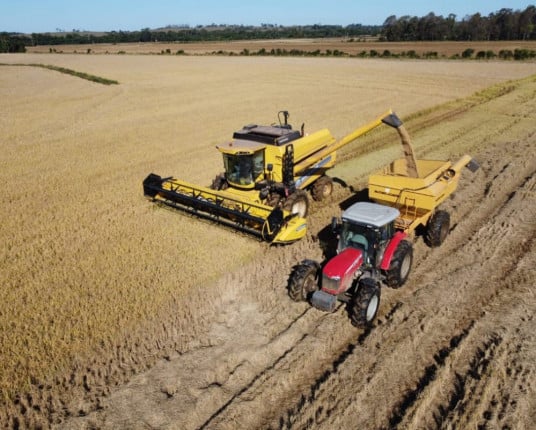 Setor arrozeiro gaúcho pressiona por medidas fiscais e novo socorro federal