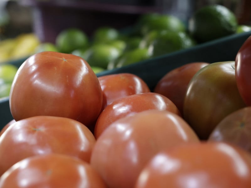 Preço do tomate sobe 45,9% em maio no Rio Grande do Sul