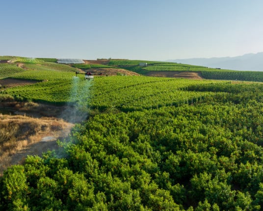 Drone pulverizador atrai atenções na ExpoBento
