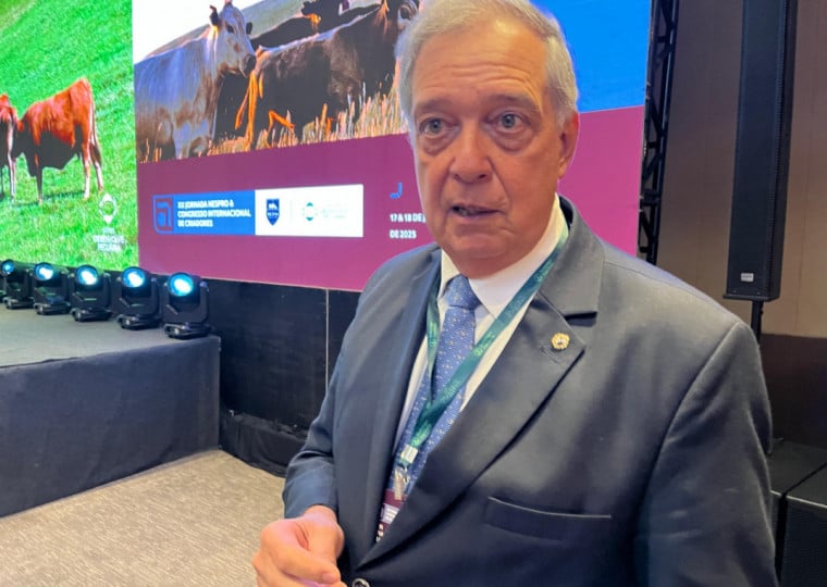Ex-ministro da Agricultura do Uruguai criticou falta de coordenação no Mercosul para valorizar carne bovina no mercado internacional