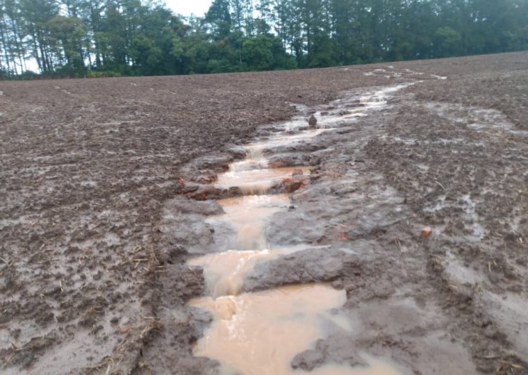 Chuva intensa em Santiago, na Região Central, provocou perdas em áreas de trigo, canola e pastagens em junho de 2025