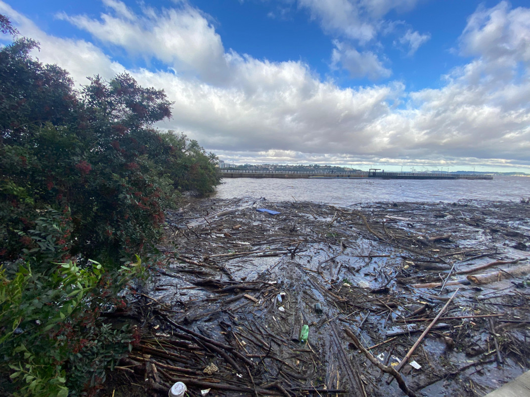 Muitos galhos estão boiando no Guaíba próximo ao Pontal | Arthur Reckziegel/Especial/JC