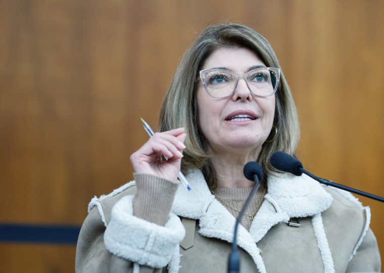 Proposta é de autoria da deputada estadual Adriana Lara (PL)