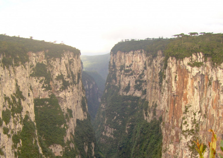 Al&eacute;m do almo&ccedil;o, visitantes poder&atilde;o visitar o parque