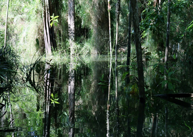 Fotos de Andréa Brächer estão em exposição até o dia 13 de julho