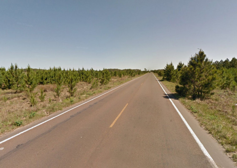 Plano de Mitigação de Atropelamentos de Fauna (PMAF) busca evitar colisões envolvendo animais em rodovias estaduais, como a RSC-101