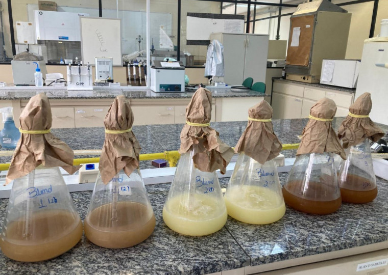 Estudo analisou 10 tipos de resíduos alimentares, que foram processados e fermentados para testes