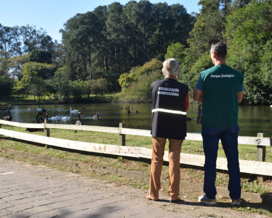 Foco de gripe aviária no Zoológico de Sapucaia do Sul é encerrado após 14 dias sem mortes de aves