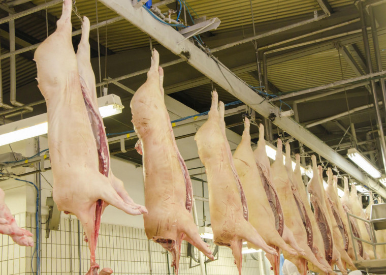 Receita no período foi 6,7% maior