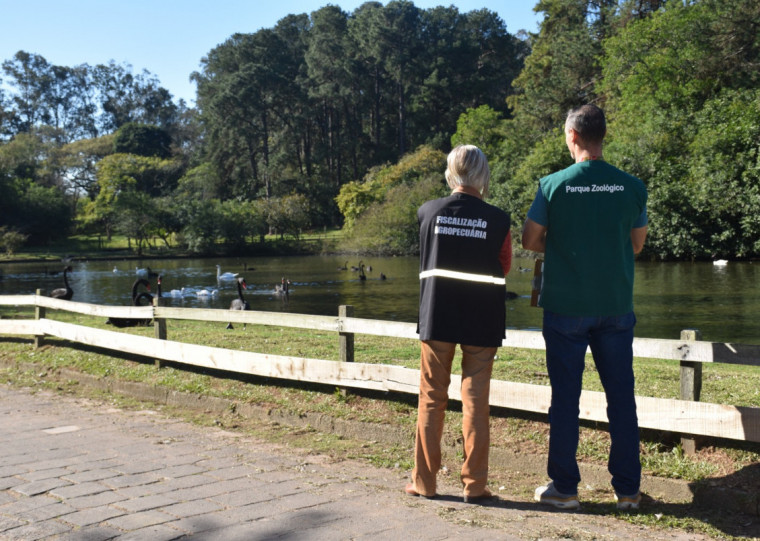 Desinterdição sanitária do local foi comunicada ao Ministério da Agricultura e Pecuária
