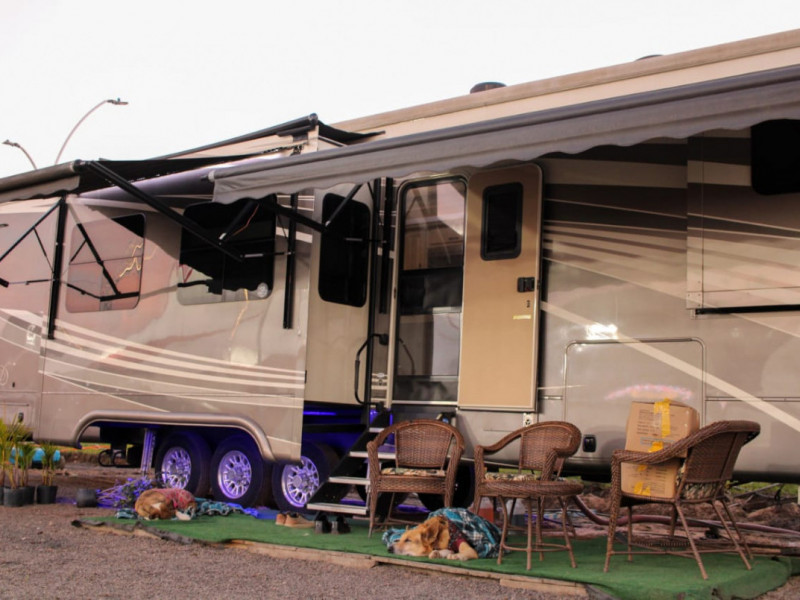 Cachorros nômades descansam na varanda do trailer | Gabrieli Silva/JC