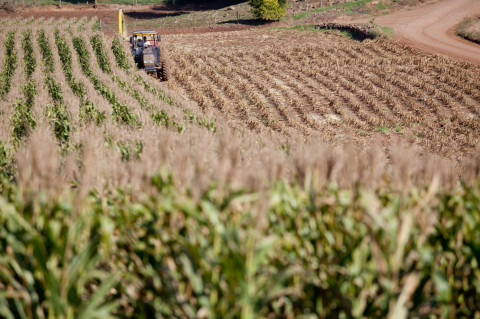 Produtor rural gaúcho foca na resiliência para se manter no campo após desafios enfrentados no Estado