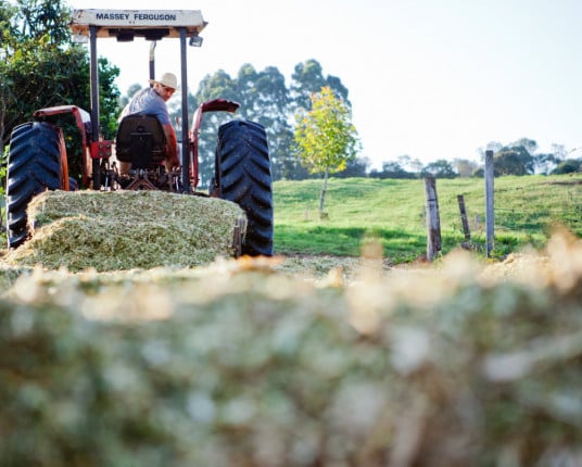 Falta de seguro rural amplia riscos e endividamento no campo gaúcho