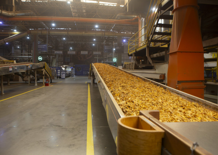 Entre Santa Cruz do Sul e Venâncio Aires, há 12 indústrias do setor