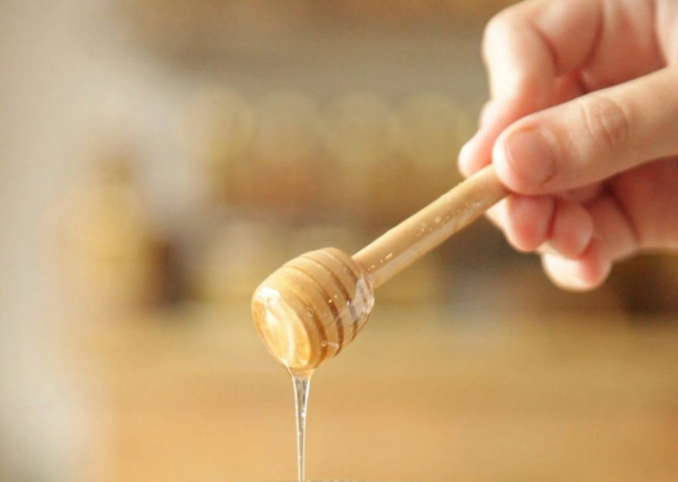 Mel é criado a partir da planta Carne-de-Vaca