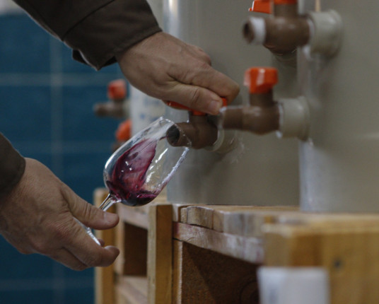 Rio Grande do Sul lidera a produção de vinho natural