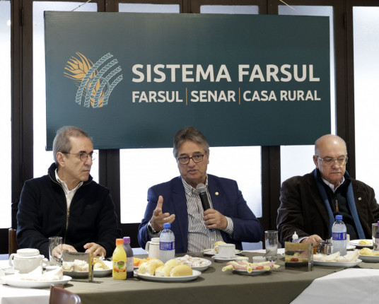 Temporada de remates projeta liquidez e genética forte até dezembro