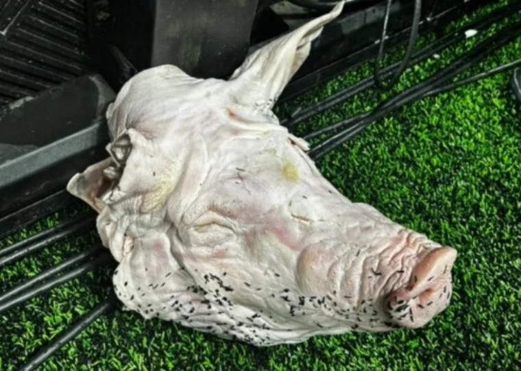 Episódio ocorreu em jogo do Brasileirão do ano passado na Arena do Corinthians 