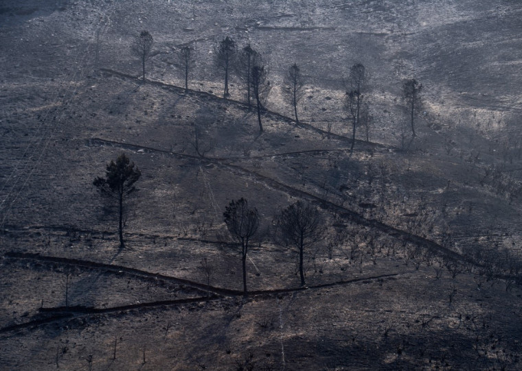 As condições críticas de temperatura, umidade e vento, que favoreceram o fenômeno, são esperadas uma vez a cada 15 anos