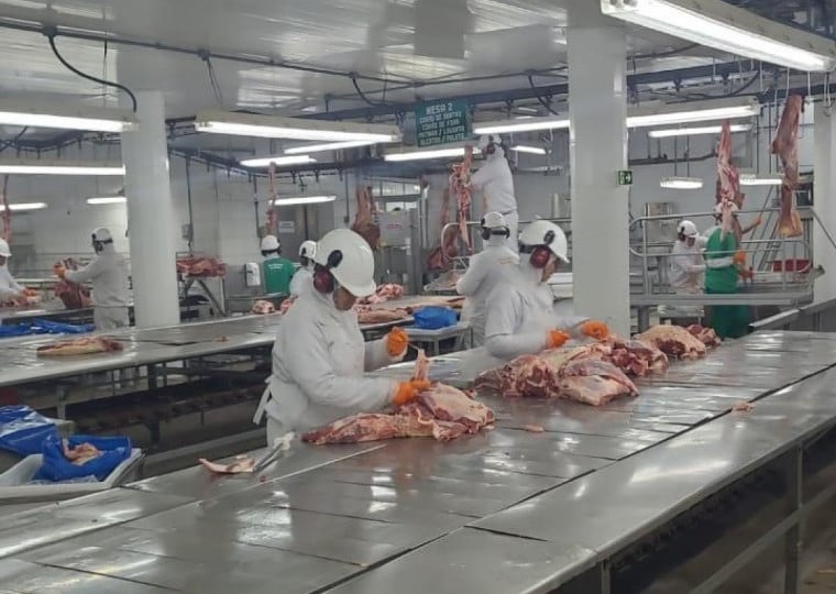 Frigorifico amplia o processamento de olho no mercado externo