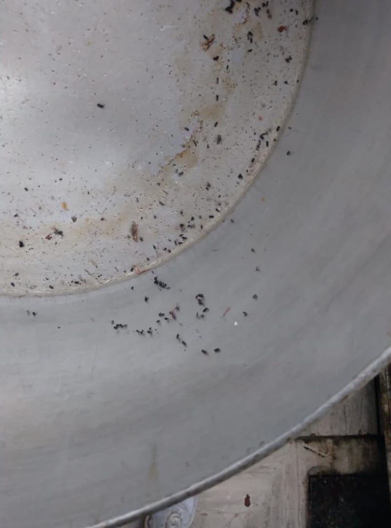 Vigilância interditou restaurante nesta quarta-feira (20)