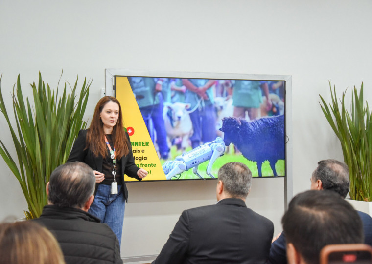 Iniciativa busca criar e apoiar startups ao longo do ano, diz Manuela