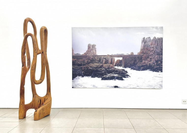 Exposição reúne esculturas de Hugo França e fotos de Tom Fecht na Galeria Bolsa de Arte