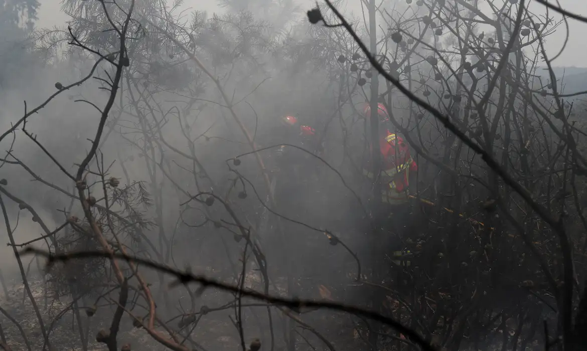 Incêndios florestais na UE emitiram 38 milhões de toneladas de dióxido de carbono este ano