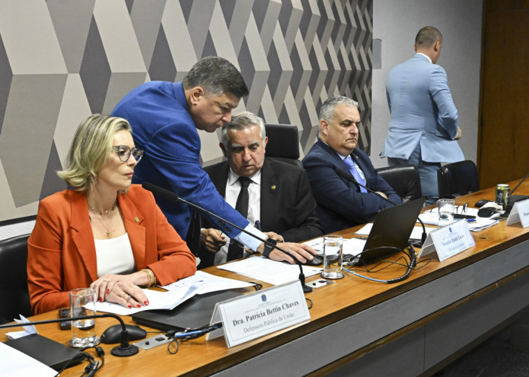 Defensora Patrícia Bettin Chaves foi primeira a depor na comissão
